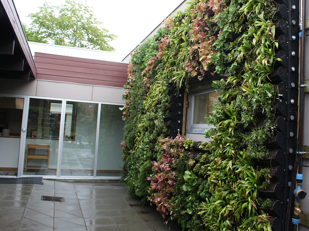 Klimaforkæmper i børnehøjde