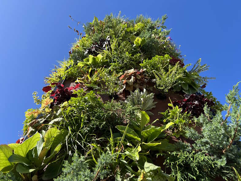 Green Sponge Buildings in Scandinavia - Forskningsprojekt