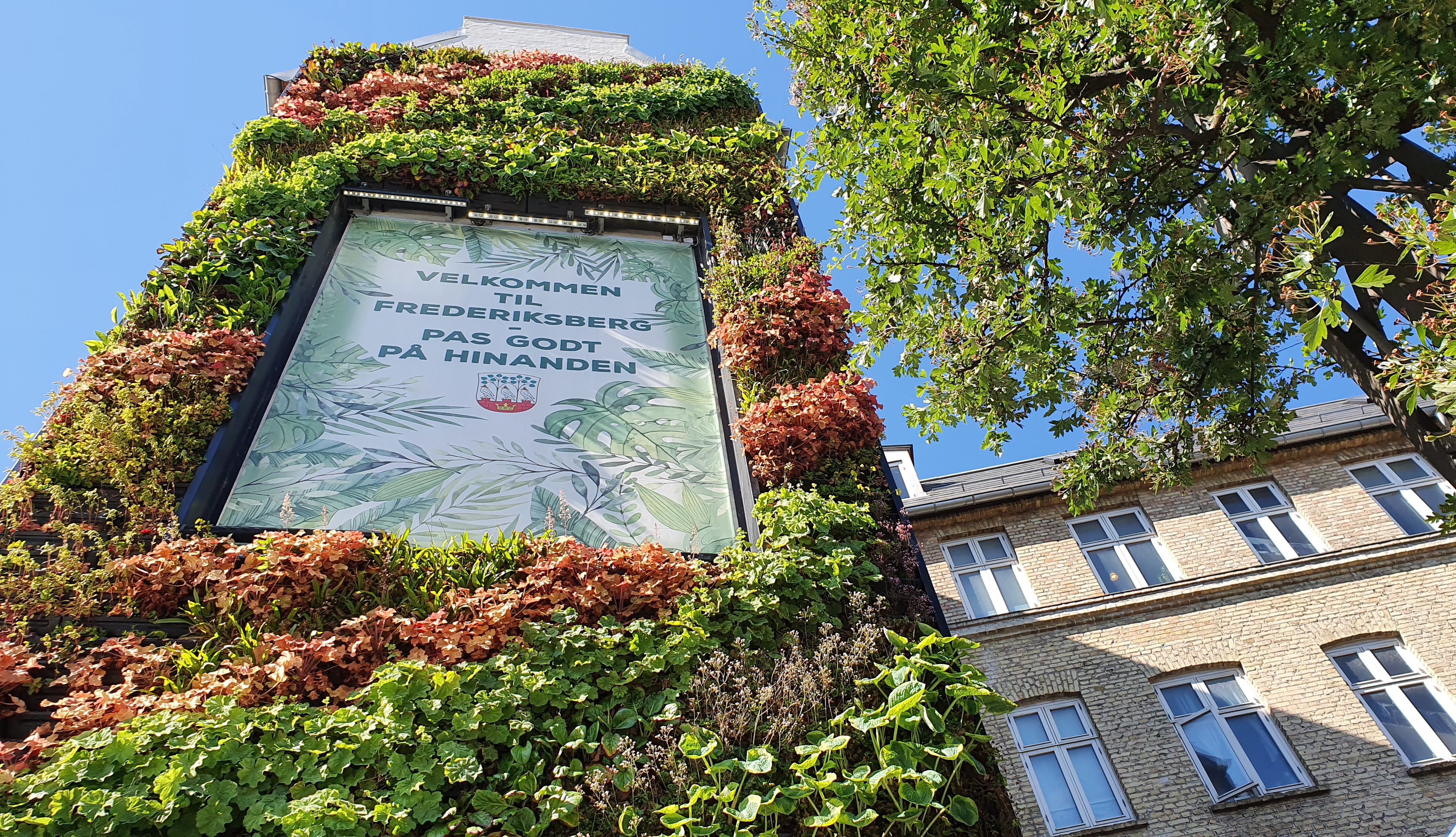 Grønne vægge bliver mere og mere populære i byerne – Og det med rette