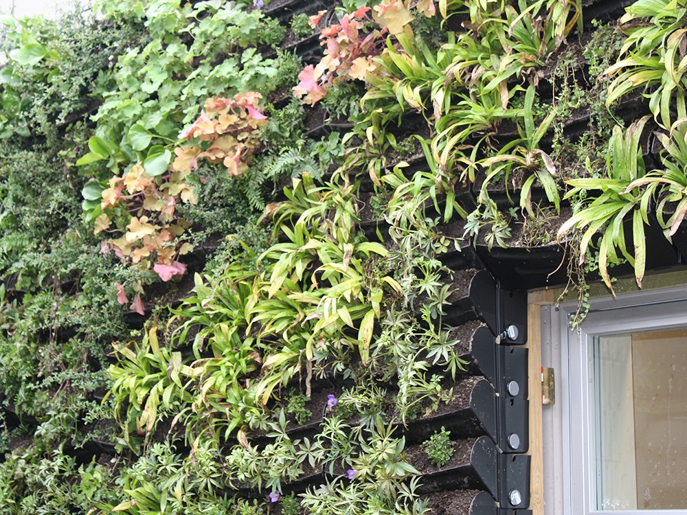 Lodrette haver skal gøre tætte byer grønne