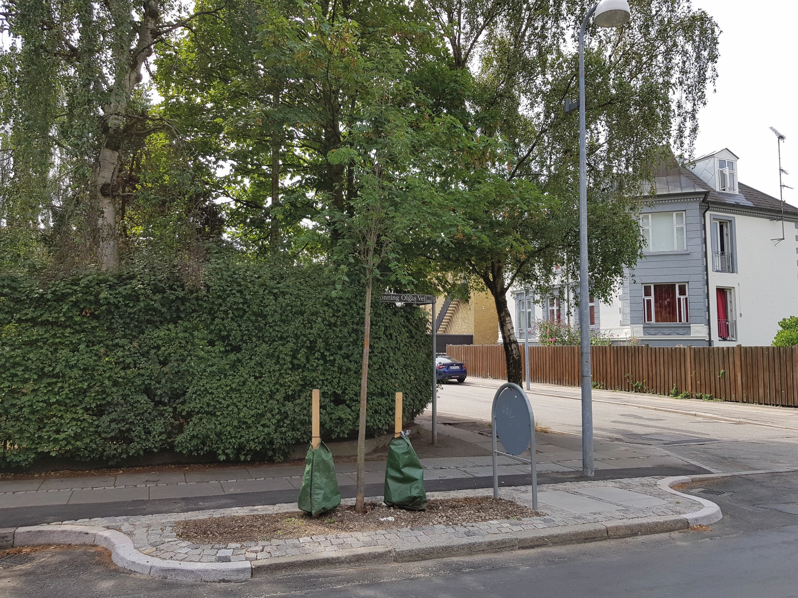 Regnvand bliver en ressource på Frederiksberg