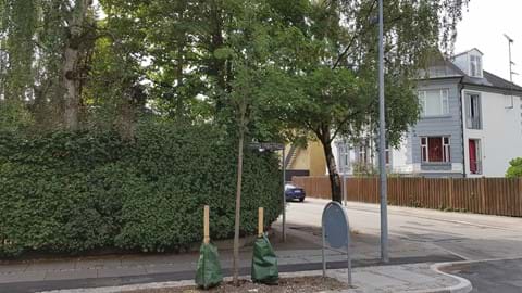 Regnvand bliver en bæredygtig ressource på Frederiksberg Regnvand bliver en bæredygtig ressource på Frederiksberg