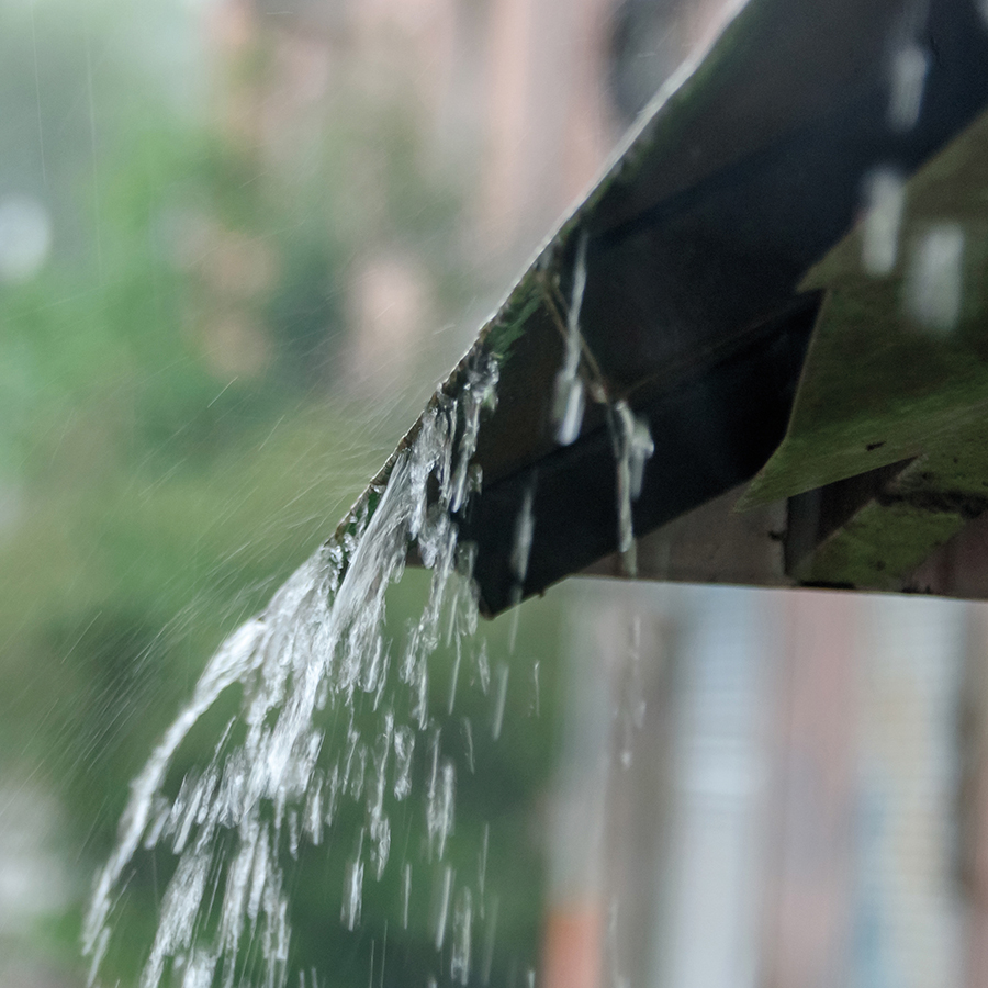 Debatindlæg: Faskiner og forurening