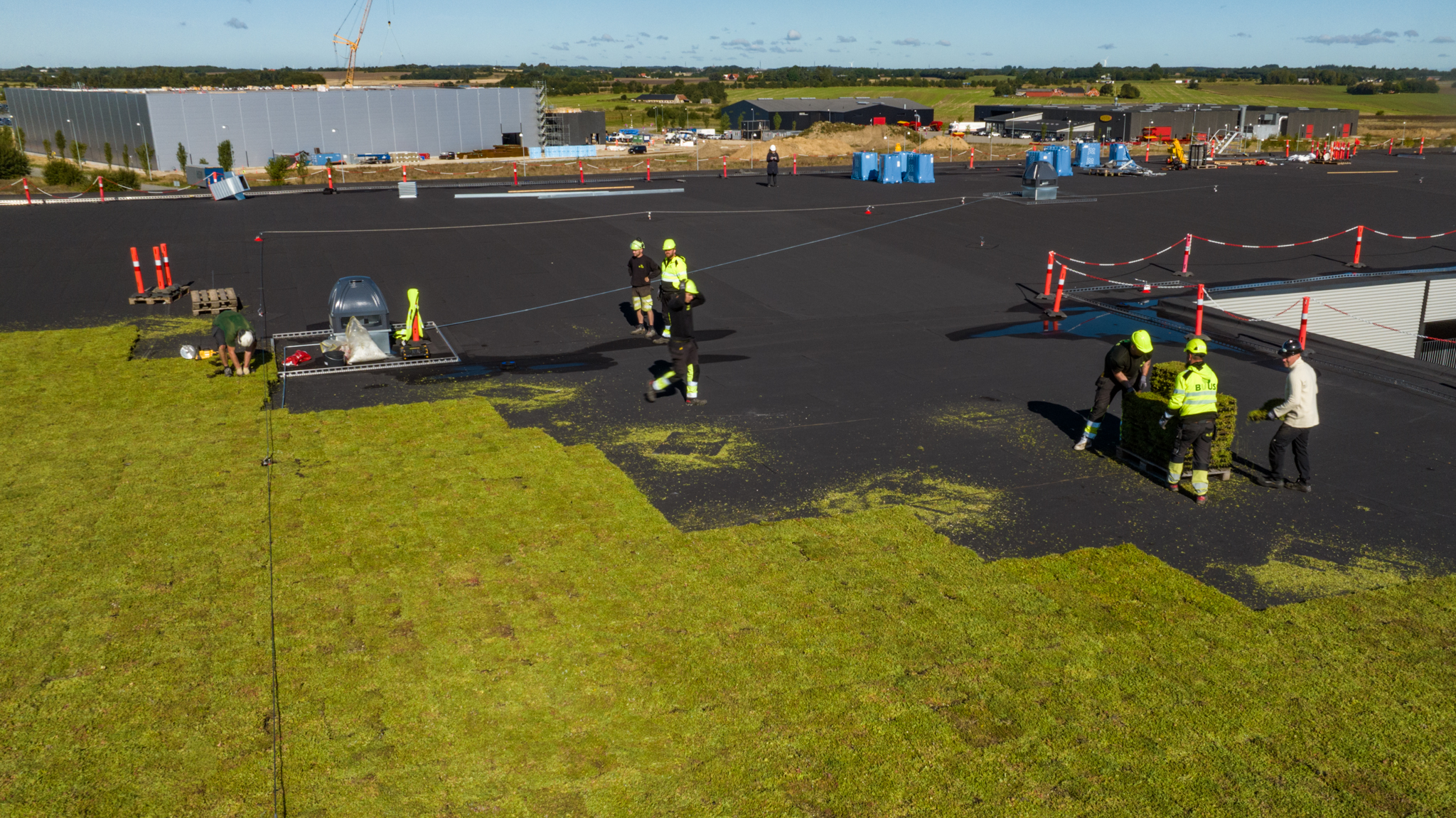 Danmarks største grønne tagflade på toppen af RessourceCenter Vejle