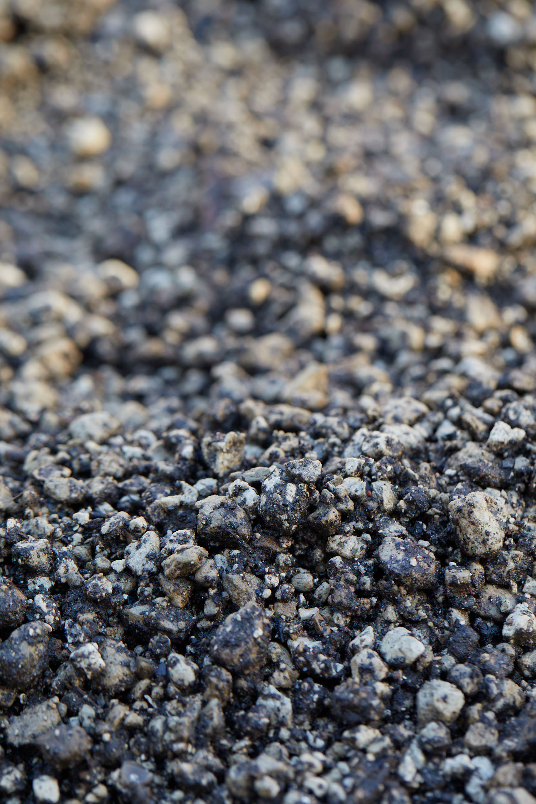 Debatindlæg: Byjord som vækstmedie udfordrer os til tværfaglighed